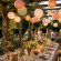 Summer Garden Party Ideas with Paper Lanterns